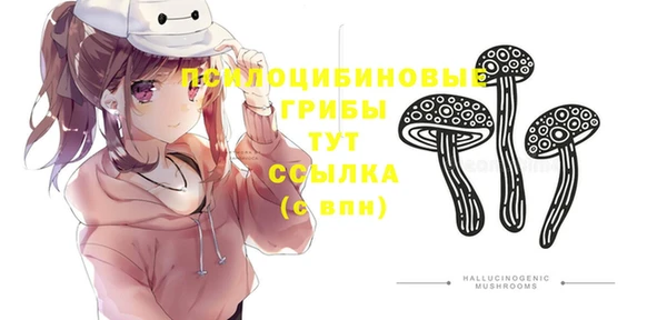 СК Покачи