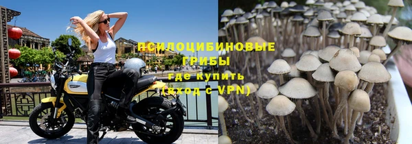 метадон Беломорск