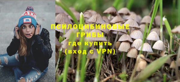 СК Покачи