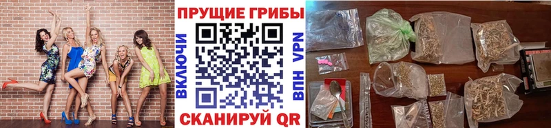 Галлюциногенные грибы мухоморы Сухой Лог