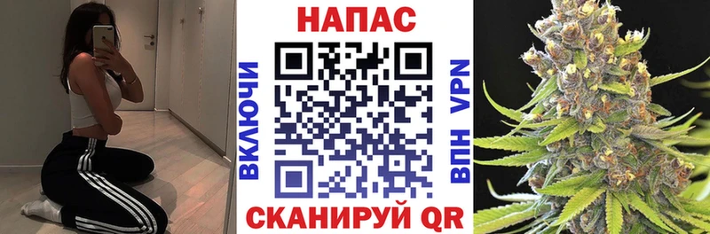 Конопля AK-47  Сухой Лог 